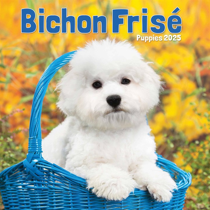 Bichon Frisé Puppies Mini Calendar 2025
