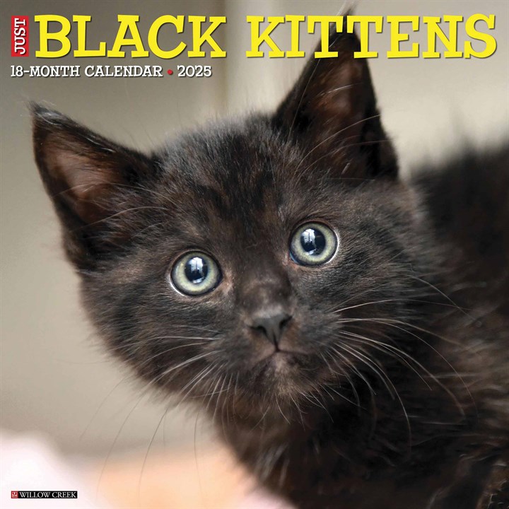 Just Black Kittens Calendar 2025