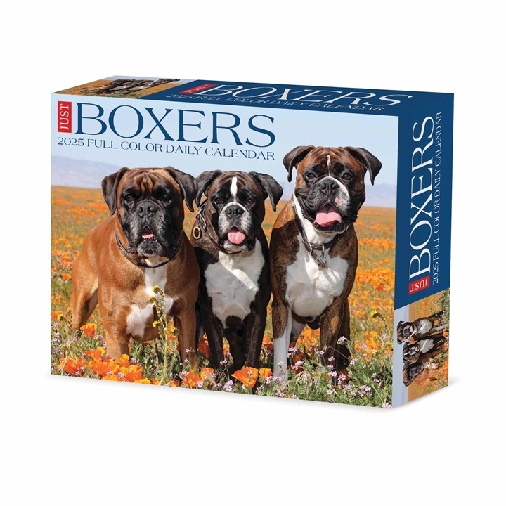 Just Boxers Desk Calendar 2025