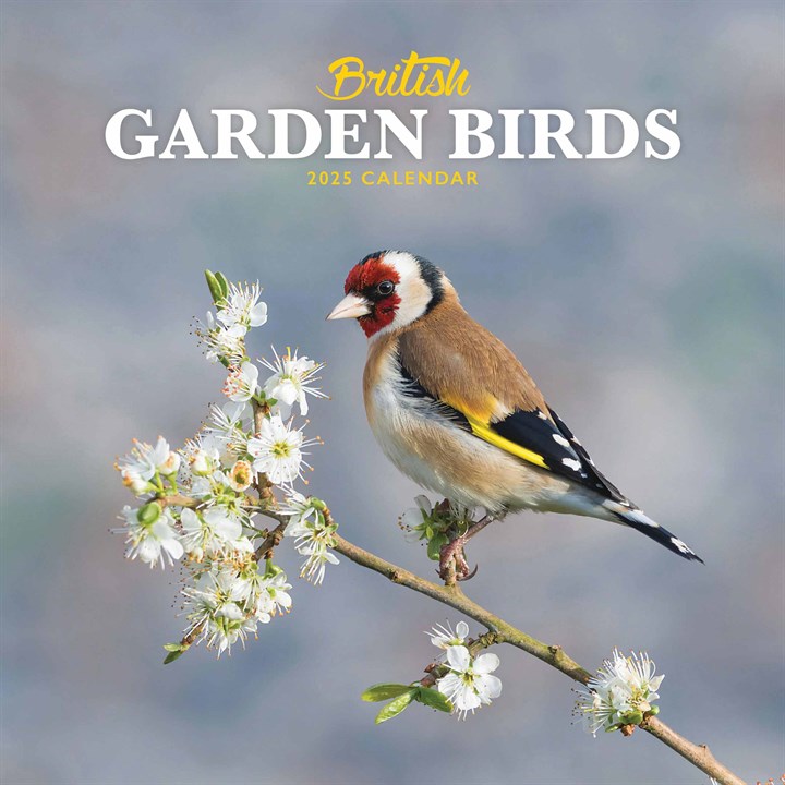 British Garden Birds Mini Calendar 2025