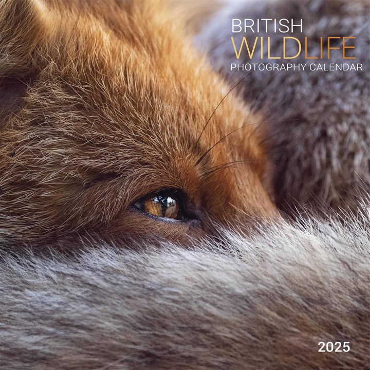 British Wildlife Photography Calendar 2025