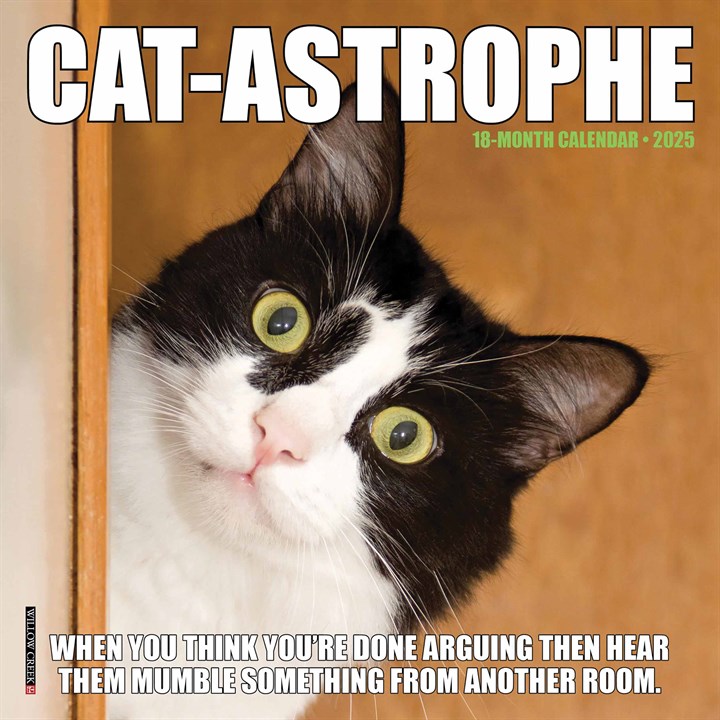Cat-astrophe Mini Calendar 2025