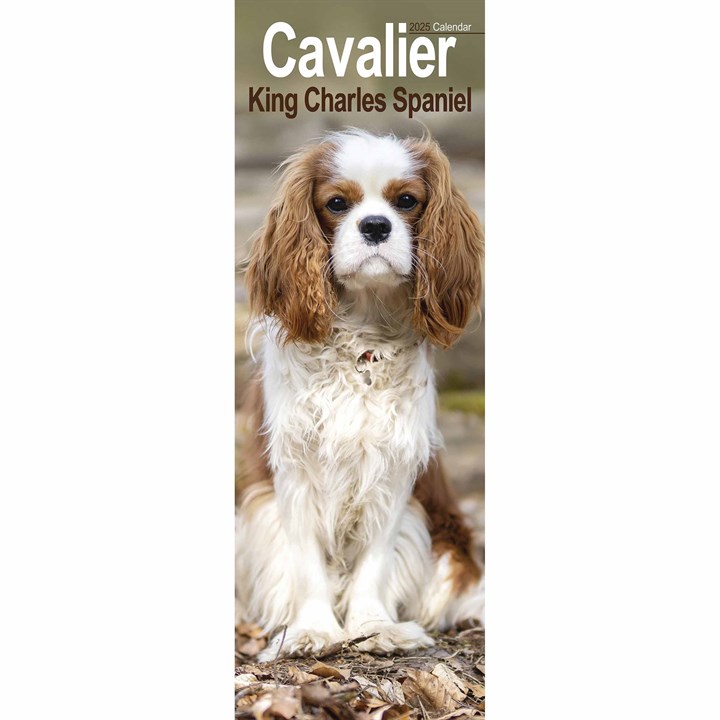 Cavalier King Charles Spaniel Slim Calendar 2025