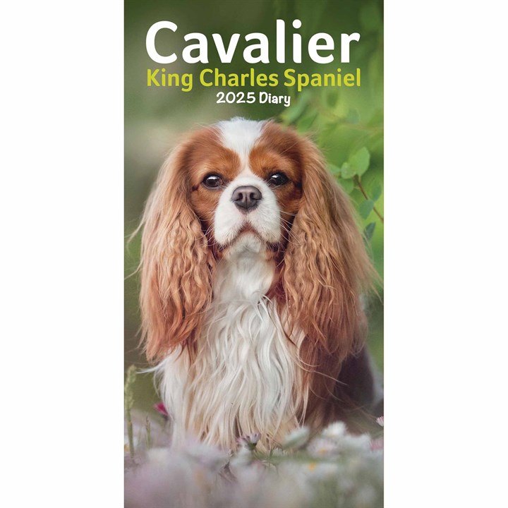 Cavalier King Charles Spaniel Slim Diary 2025