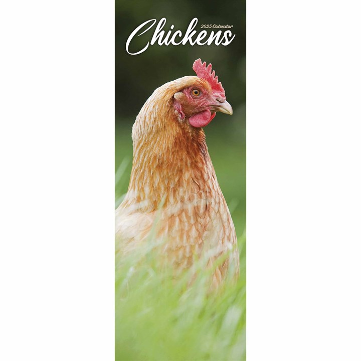 Chickens Slim Calendar 2025