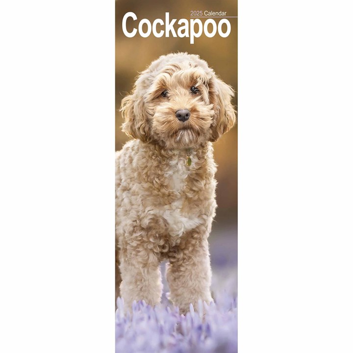 Cockapoo Slim Calendar 2025