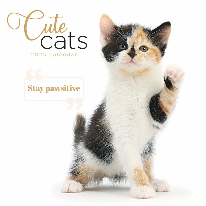 Cute Cats Calendar 2025
