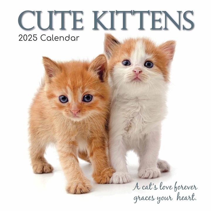 Cute Kittens Calendar 2025
