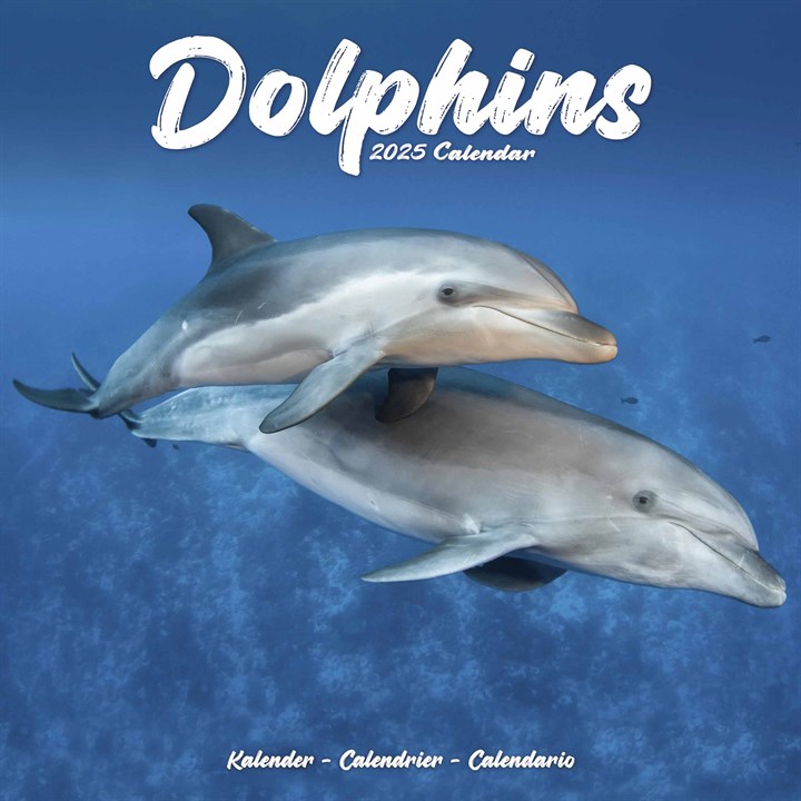 Dolphins Calendar 2025