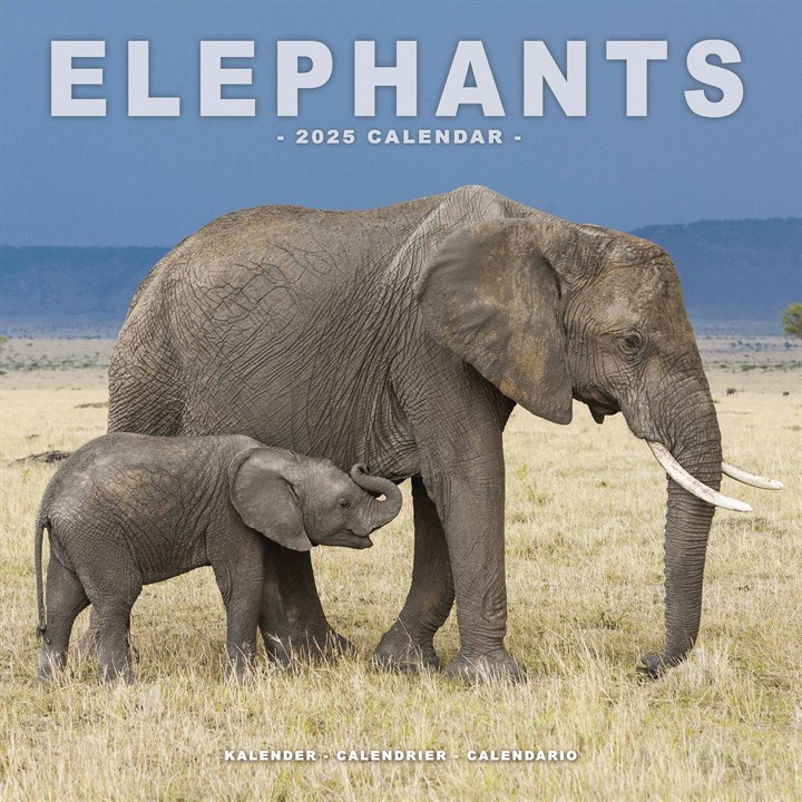 Elephants Calendar 2025