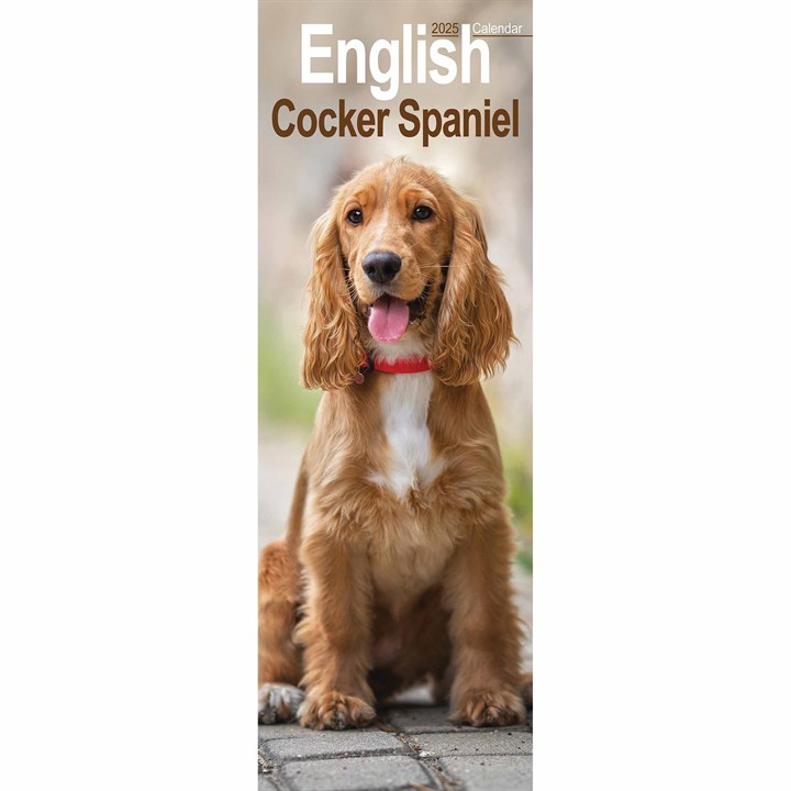English Cocker Spaniel Slim Calendar 2025