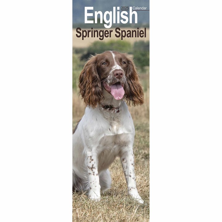 English Springer Spaniel Slim Calendar 2025