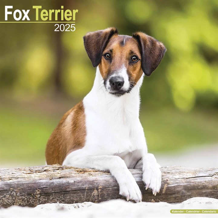 Fox Terrier Calendar 2025