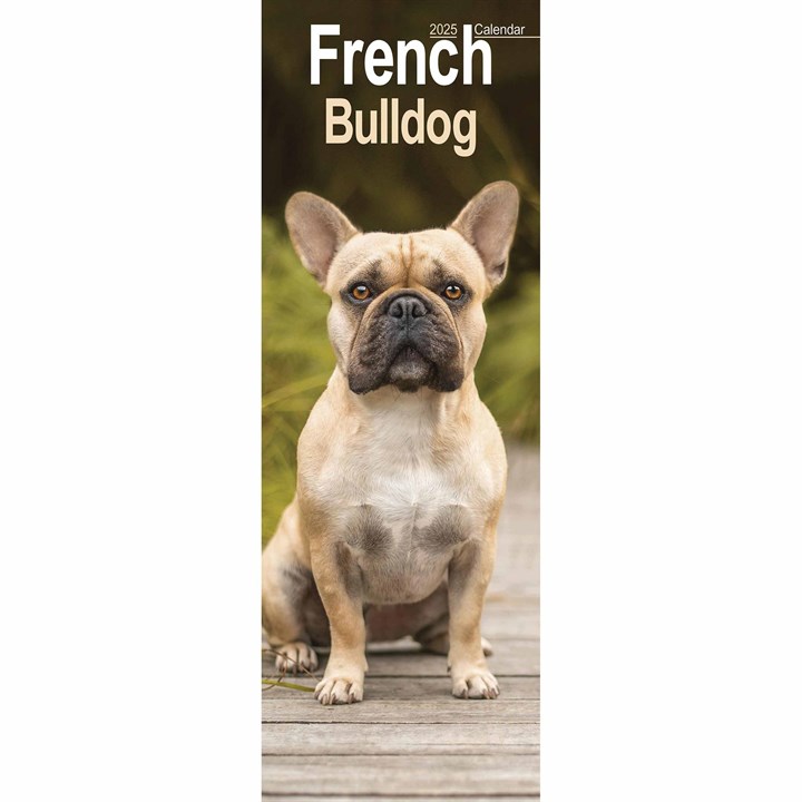 French Bulldog Slim Calendar 2025