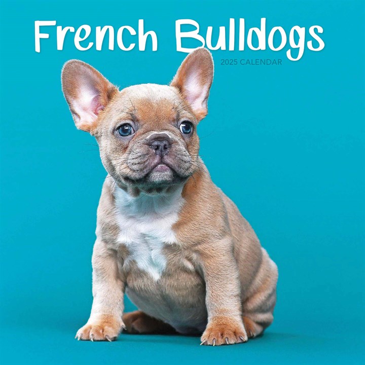 French Bulldogs Mini Calendar 2025