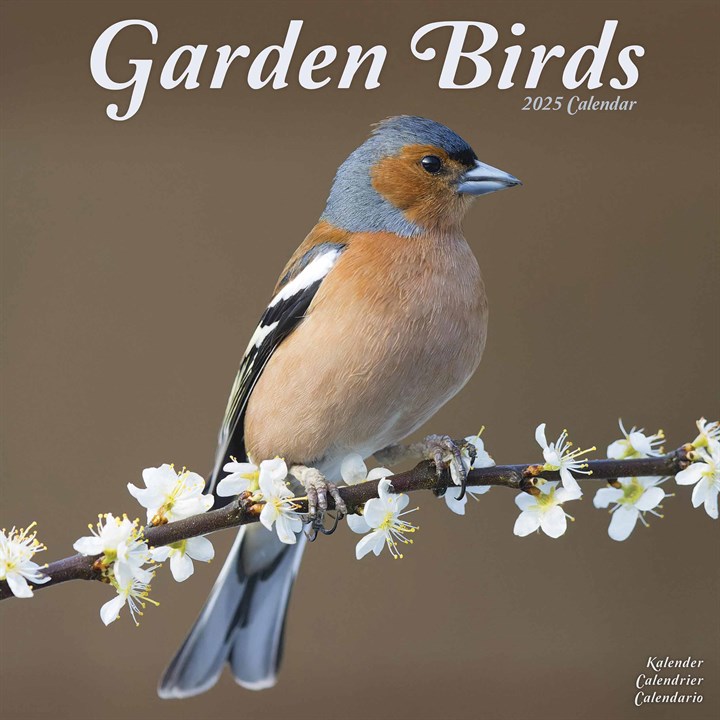 Garden Birds Calendar 2025