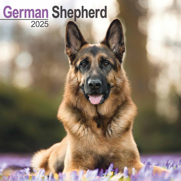 German Shepherd Calendar 2025