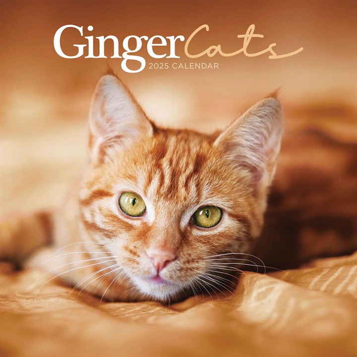 Ginger Cats Calendar 2025