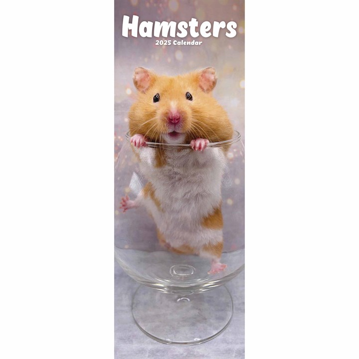 Hamsters Slim Calendar 2025
