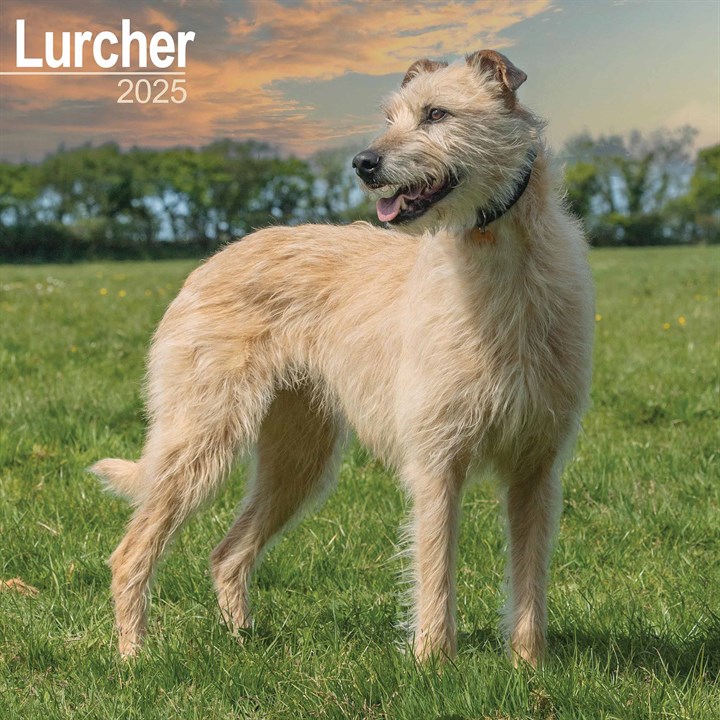 Lurcher Calendar 2025
