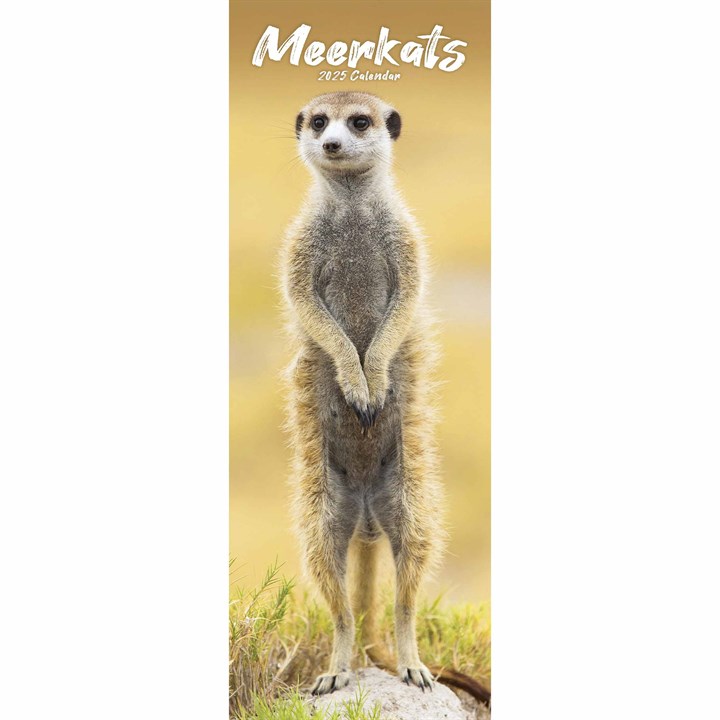 Meerkats Slim Calendar 2025