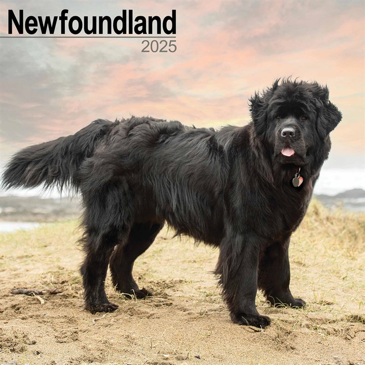 Newfoundland Calendar 2025