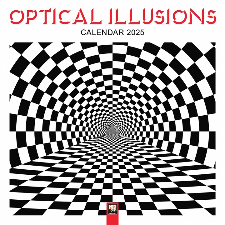 Optical Illusions Calendar 2025
