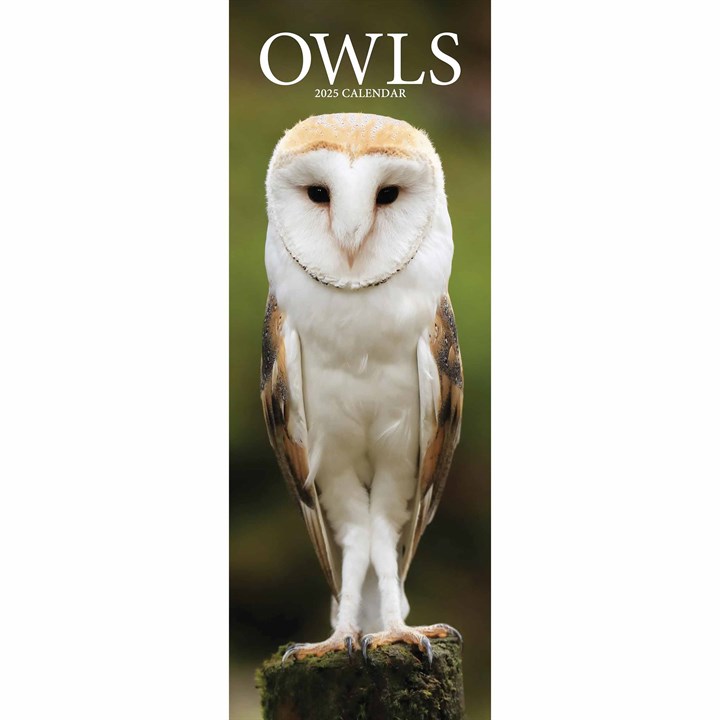 Owls Slim Calendar 2025