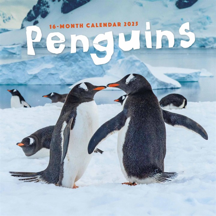 Penguins Calendar 2025