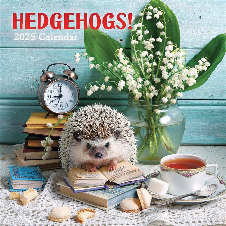Hedgehogs! Calendar 2025