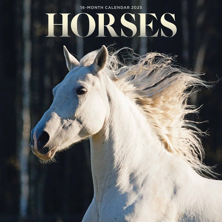 Horses Mini Calendar 2025