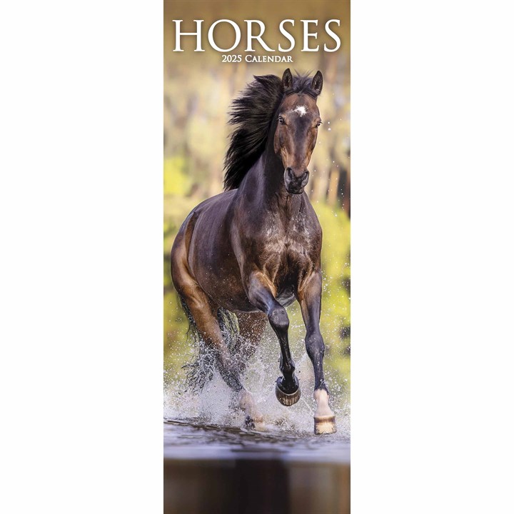 Horses Slim Calendar 2025