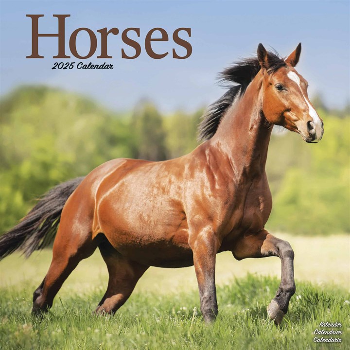 Horses Calendar 2025