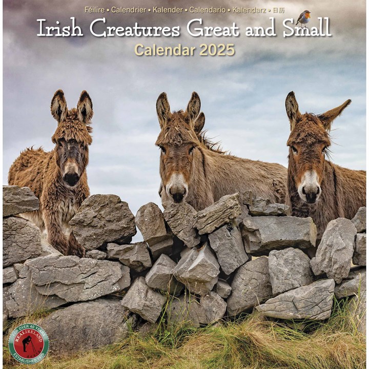 Irish Creatures Great & Small Mini Calendar 2025
