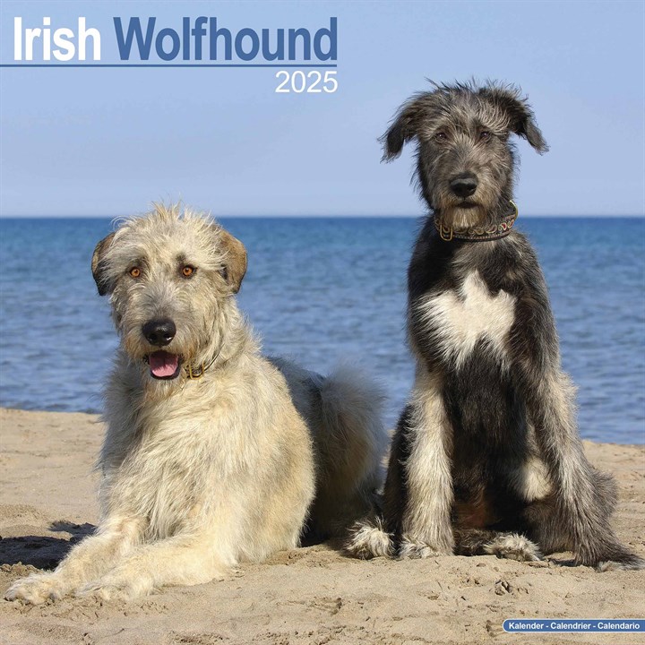 Irish Wolfhound Calendar 2025