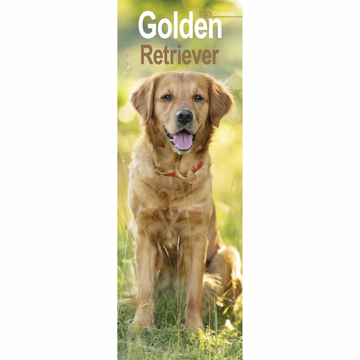 Golden Retriever Slim Calendar 2025