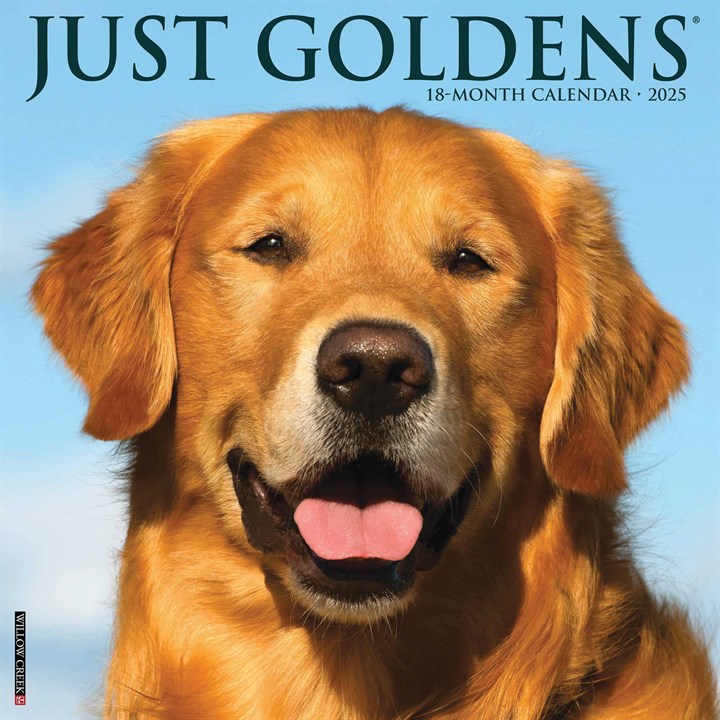Golden Retrievers Calendar 2025