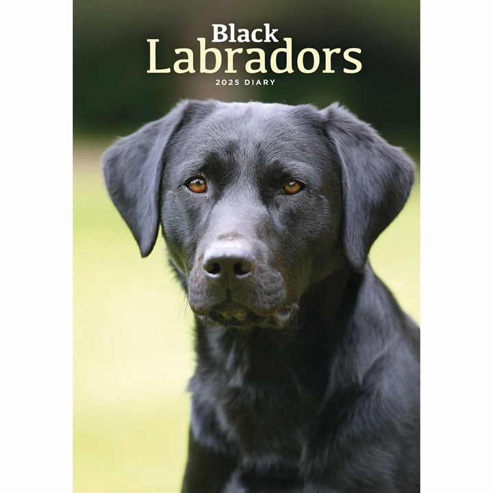 Black Labradors A5 Diary 2025
