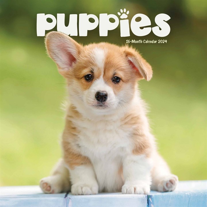 Puppies Mini Calendar 2025