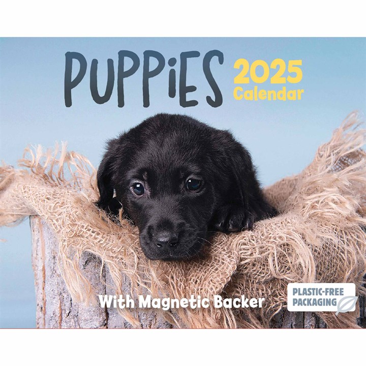 Puppies Mini Desk Calendar 2025