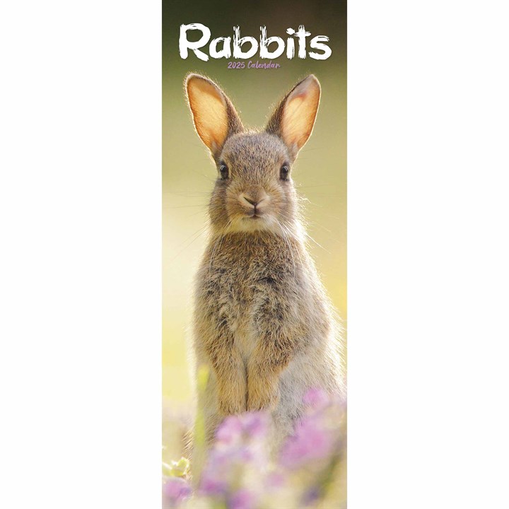 Rabbits Slim Calendar 2025