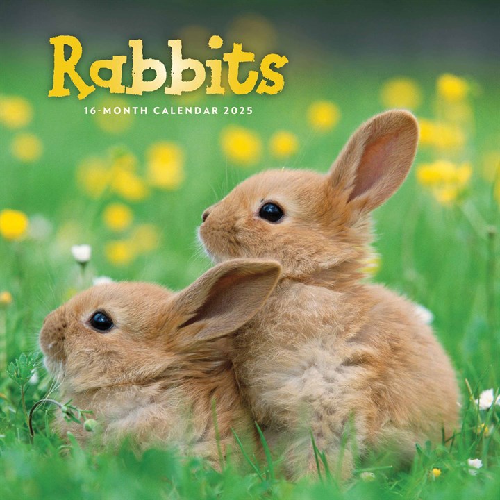 Rabbits Calendar 2025