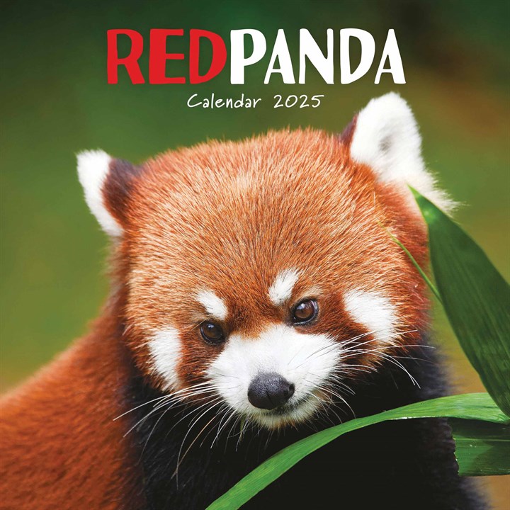 Red Pandas Calendar 2025