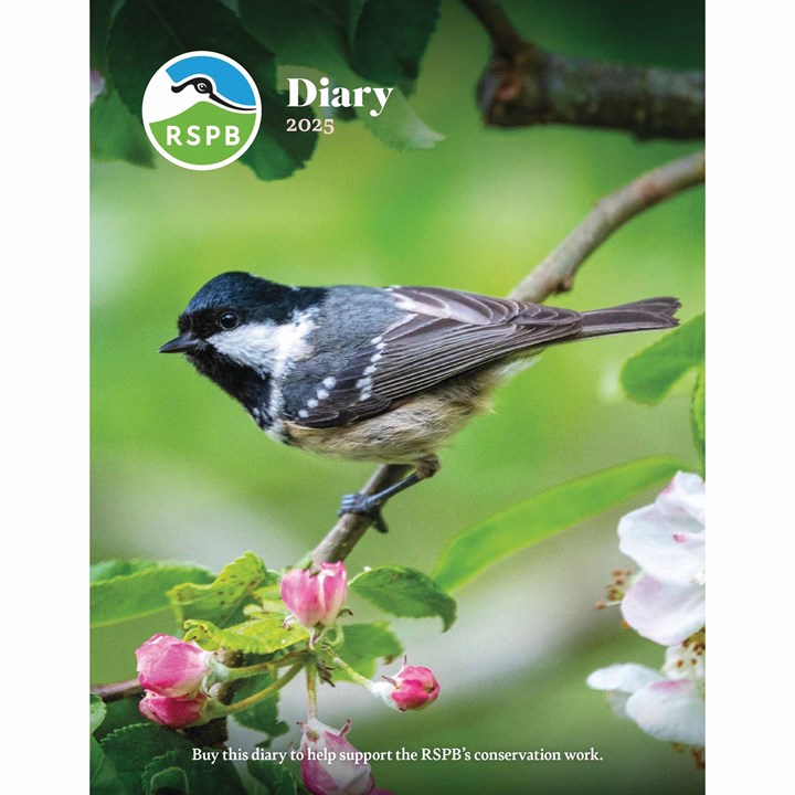 RSPB, Birds A5 Deluxe Diary 2025