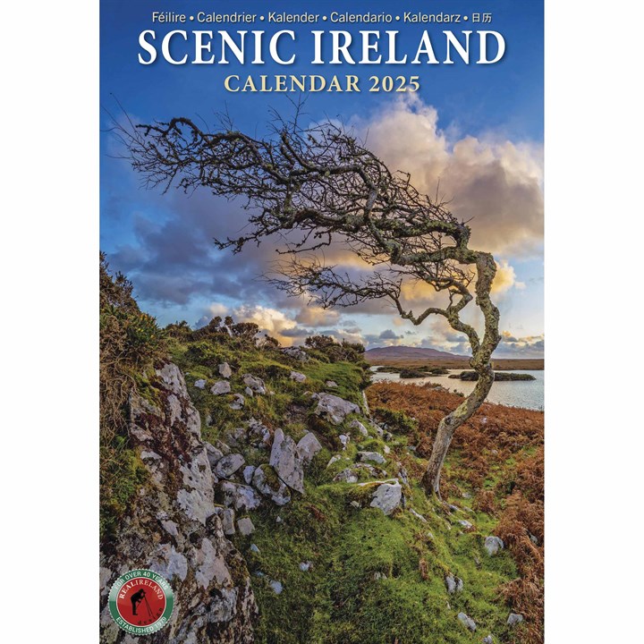 Scenic Ireland A5 Calendar 2025