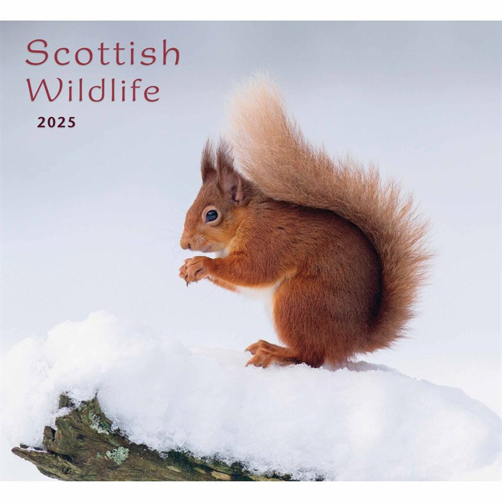 Colin Baxter, Scottish Wildlife Calendar 2025