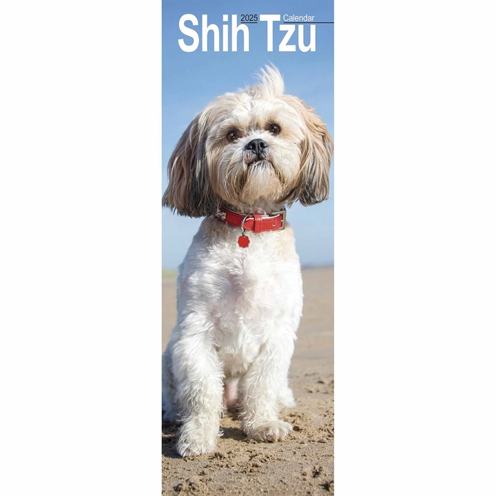 Shih Tzu Slim Calendar 2025