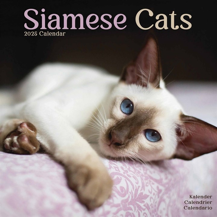 Siamese Cats Calendar 2025