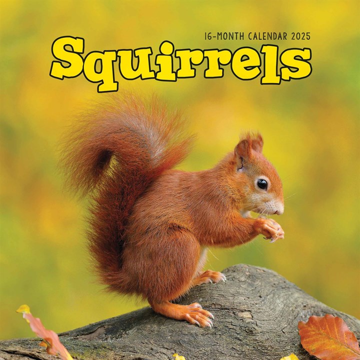 Squirrels Calendar 2025