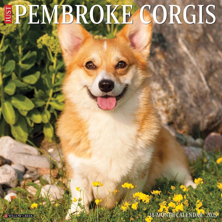 Just Pembroke Welsh Corgis Calendar 2025
